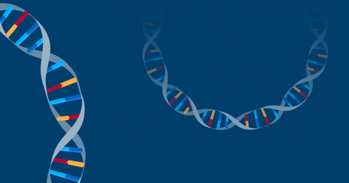 Introduction to Genetic Engineering: Recombinant Plasmids
