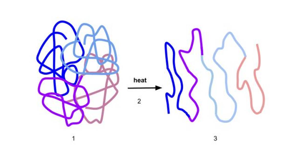 Protein Denaturation: What Is It?