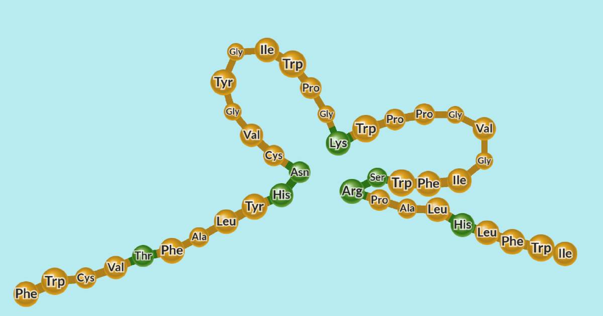 Ripiegamento delle proteine