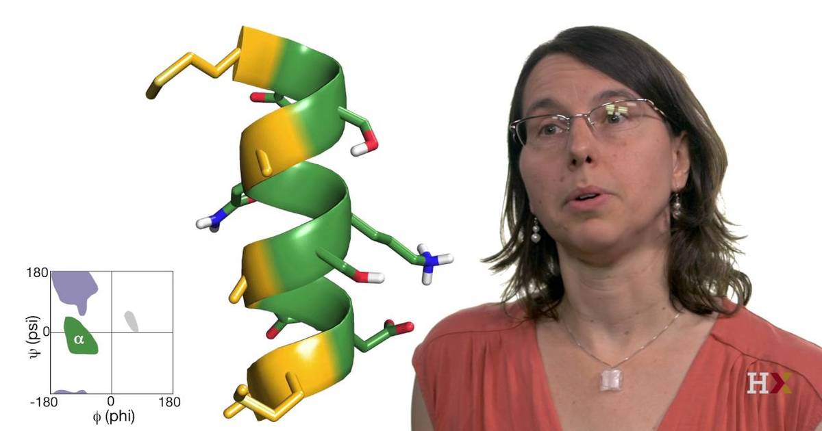 Protein Secondary Structure