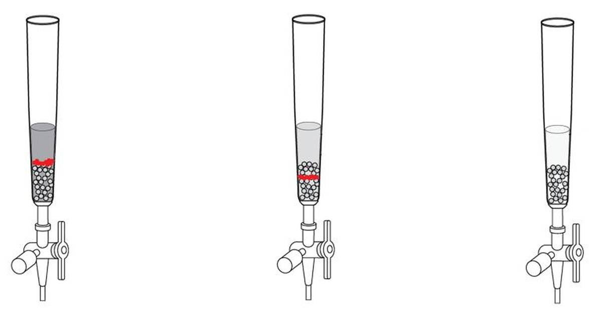 Protein Purification
