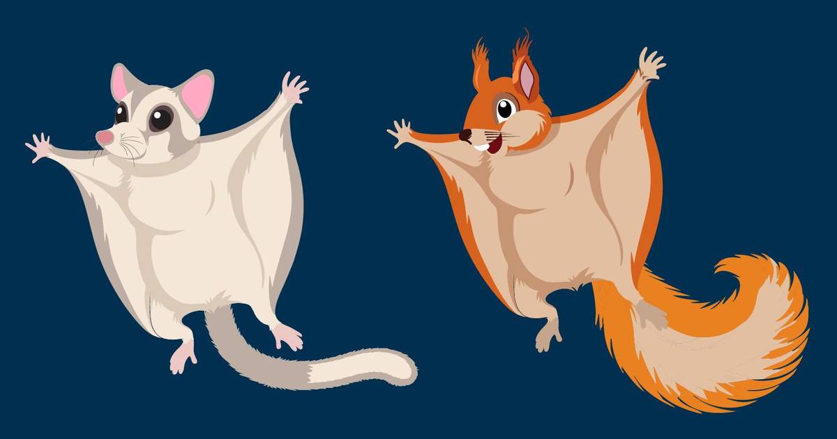 Evidence for Evolution and Phylogeny