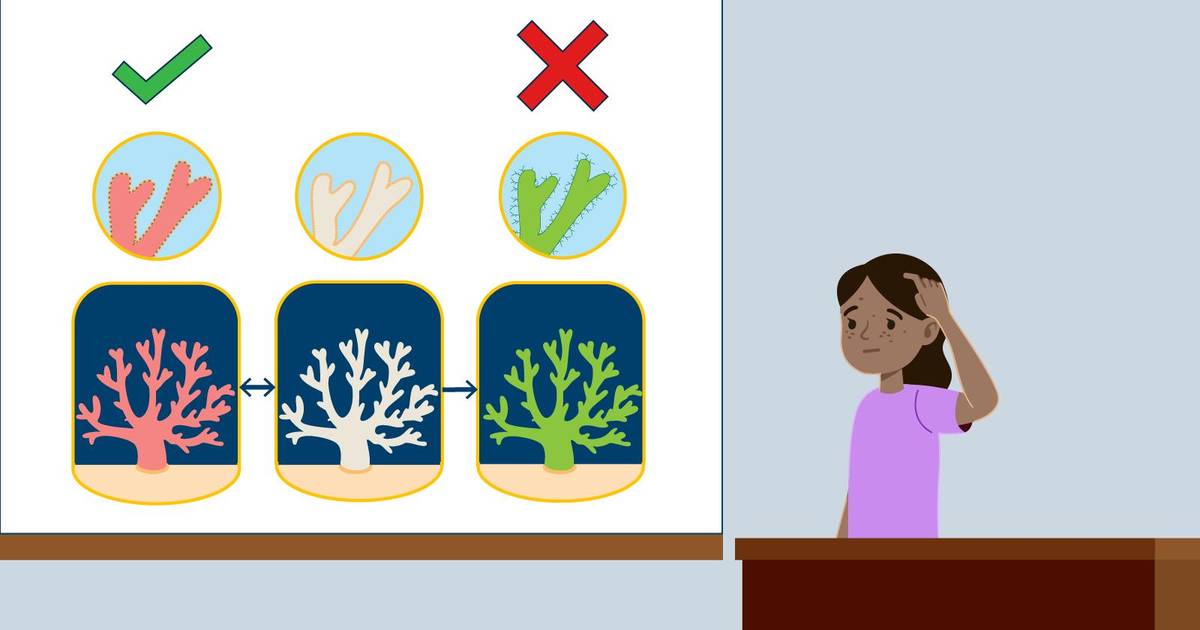 Designing Effective Slides and Presentations