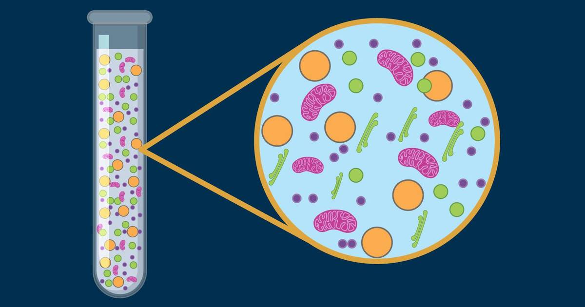Data Literacy: Biological Data Interpretation