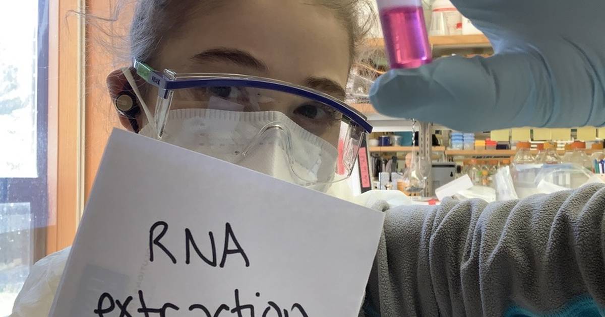 RNA Extraction Action: Trizol, Phenol:Chloroform