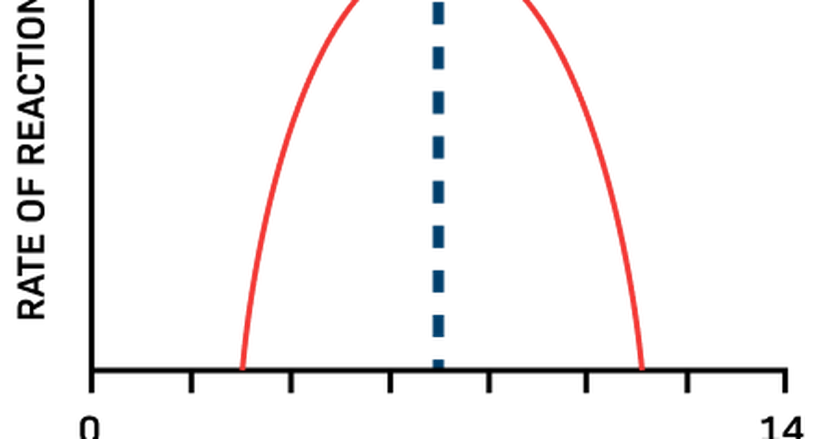 pH Effect on Enzyme Reaction Rate