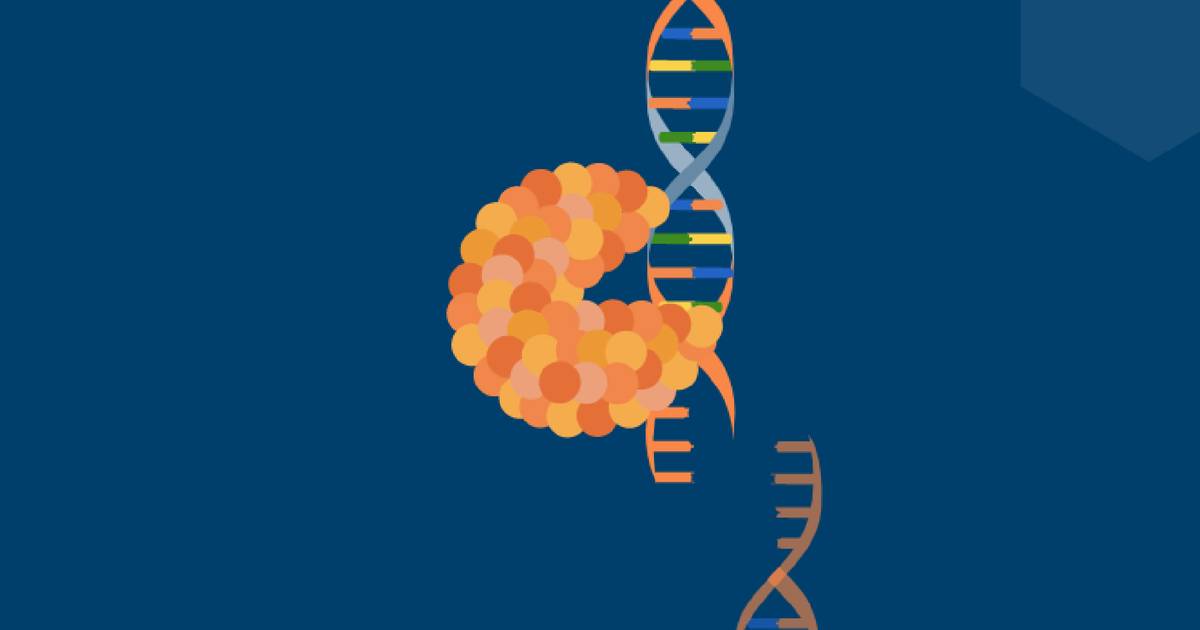 Recognizing Restriction Enzyme Sites