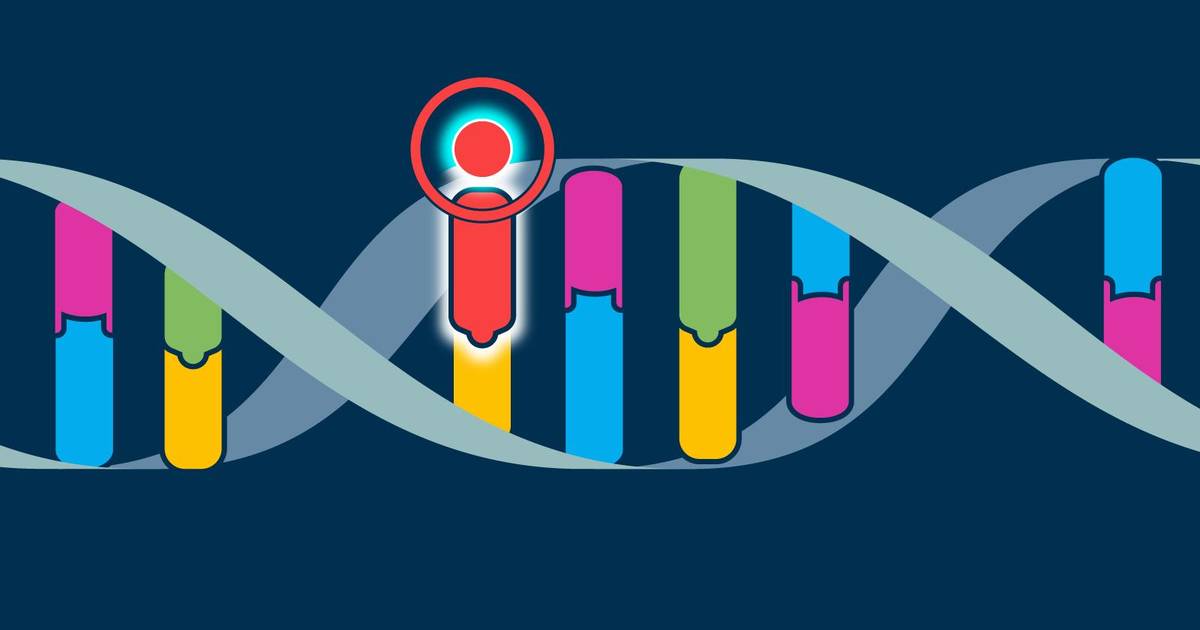 Small-Scale (Point) Mutations