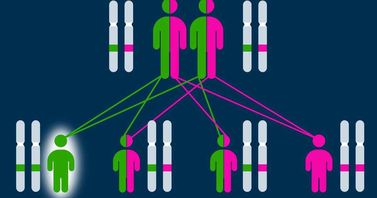 Sources of Maintained Variation in a Population