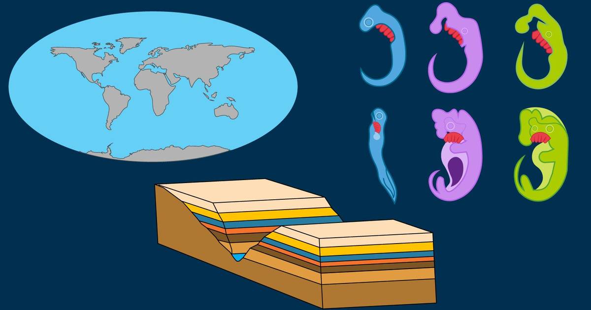 Evidence for Evolution: Biogeography, Paleontology, and Embryology