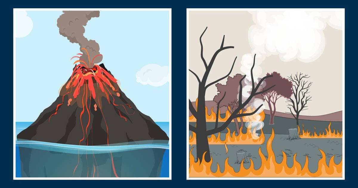Ecological Succession