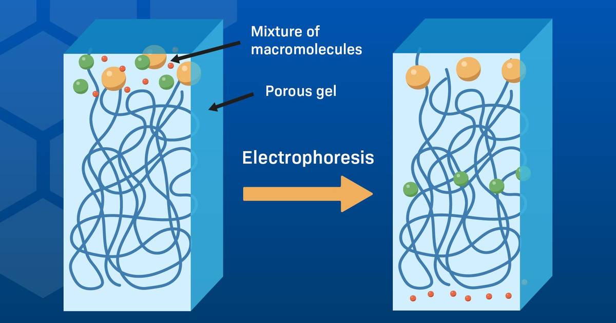 Electrophoresis: A brief primer