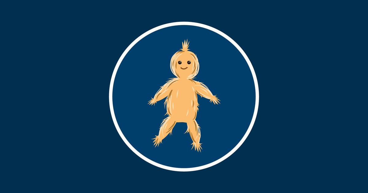 The Strawman Fallacy