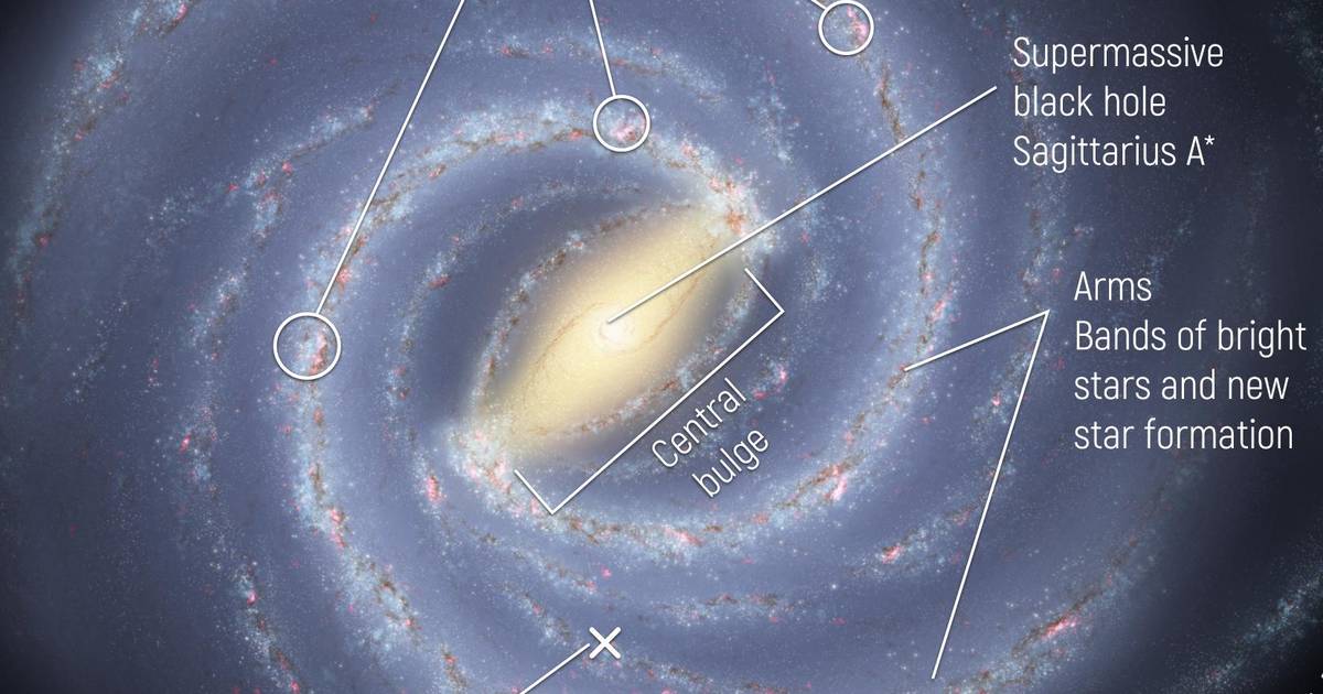 Is the Milky Way Unique?