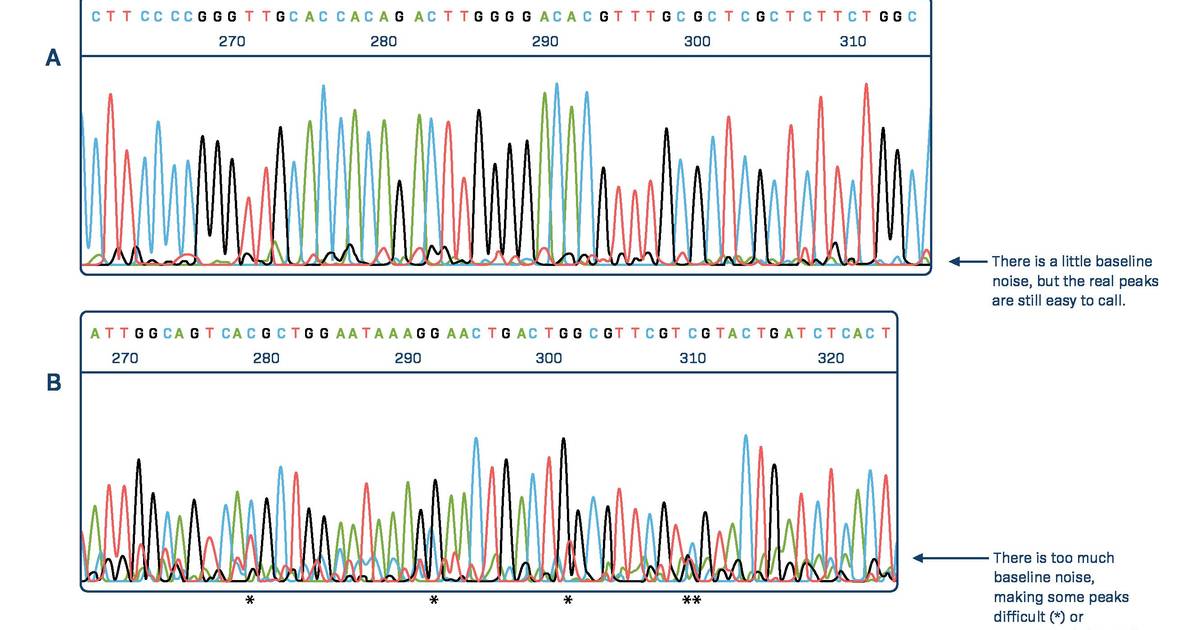 How to Interpret a DNA Sequencing Chromatogram: Reading through common issues
