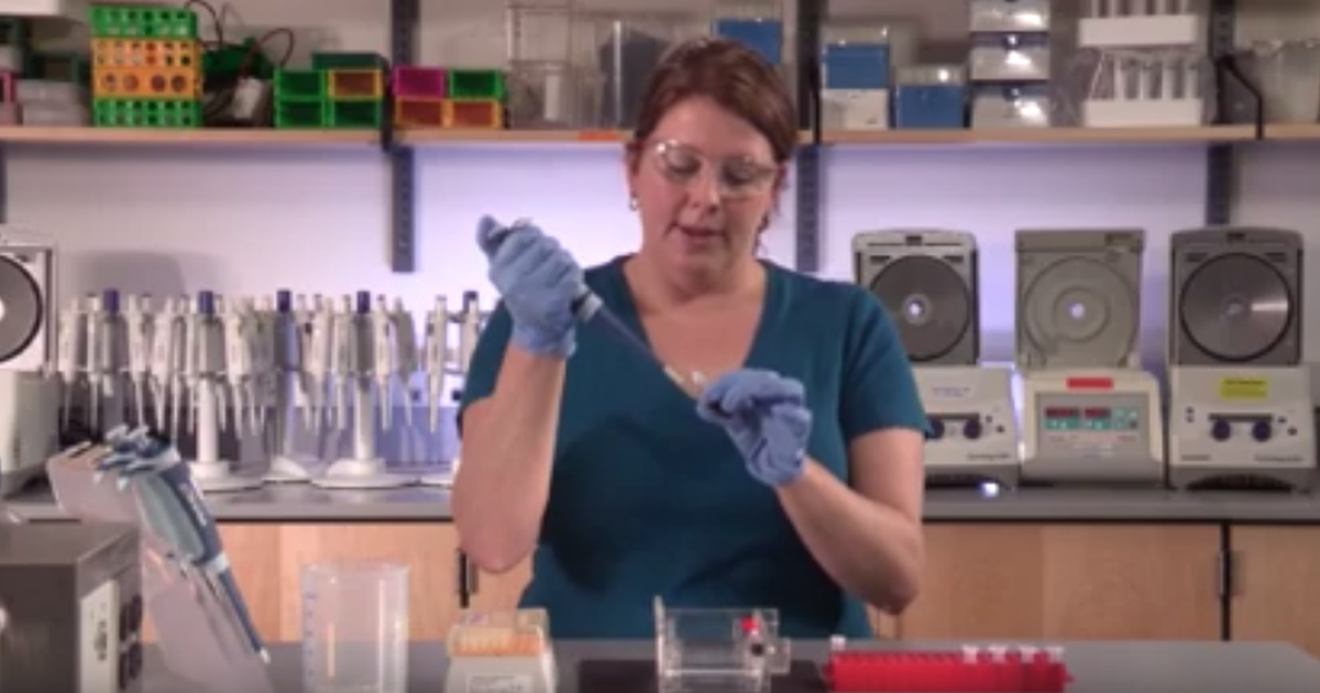 Loading an Agarose Gel