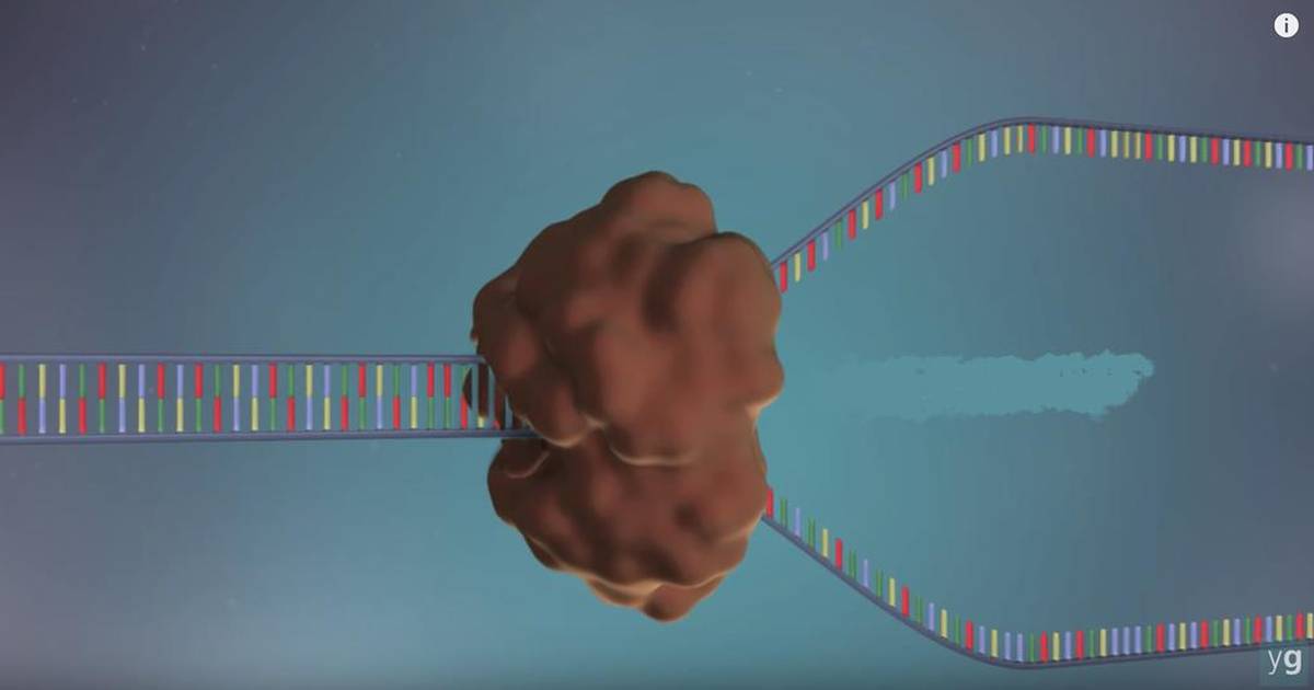Ukuphindaphinda kwe-DNA