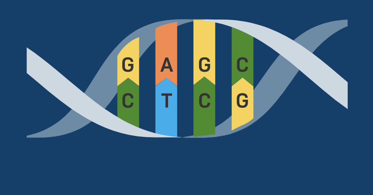 The Basic Idea of CRISPR-Cas9 as a Gene Editing Tool