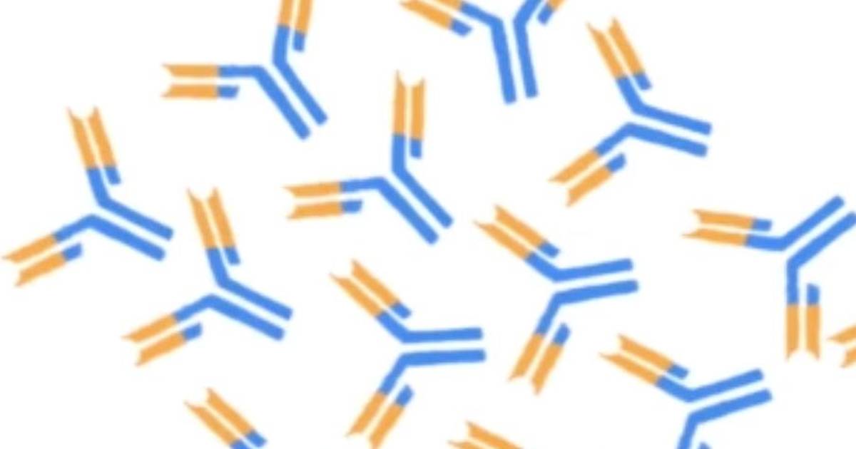 Antibodies - A Brief Introduction (Annotated)