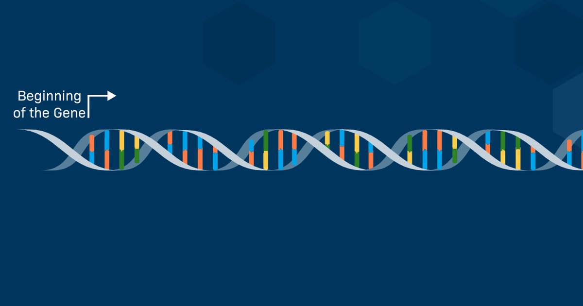 Guide RNA Design: From Gene to gRNA Targets