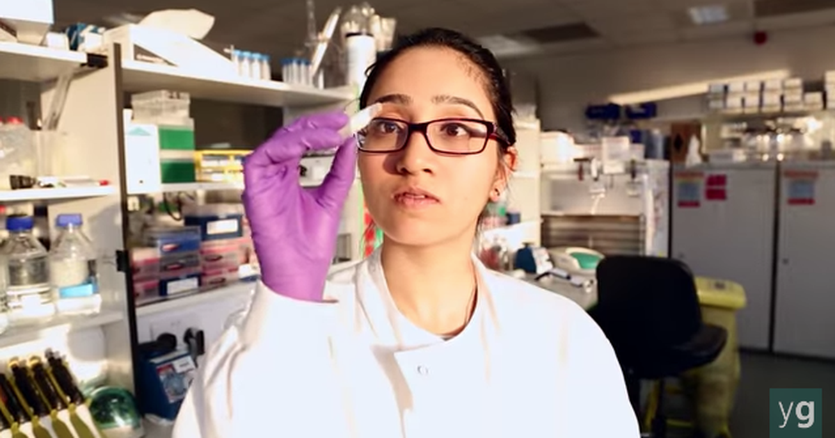 My Career in Genomics: Cancer Biology
