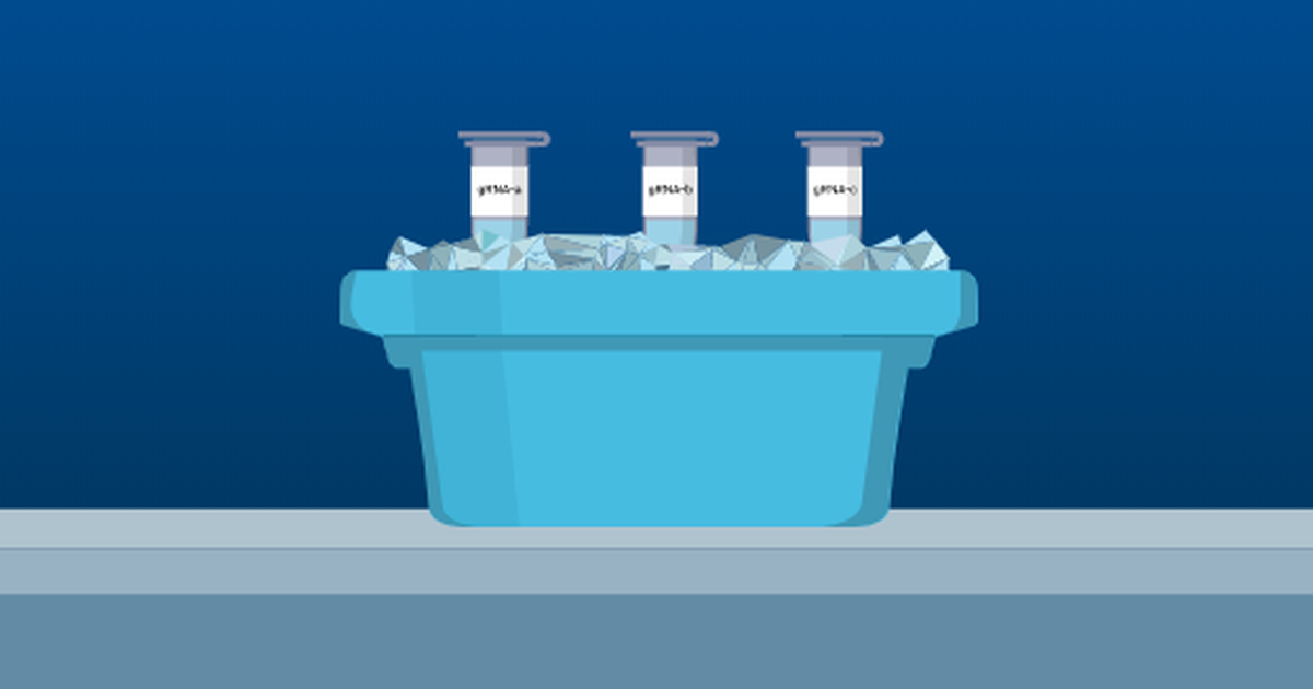 Testing Guide RNA Efficacy