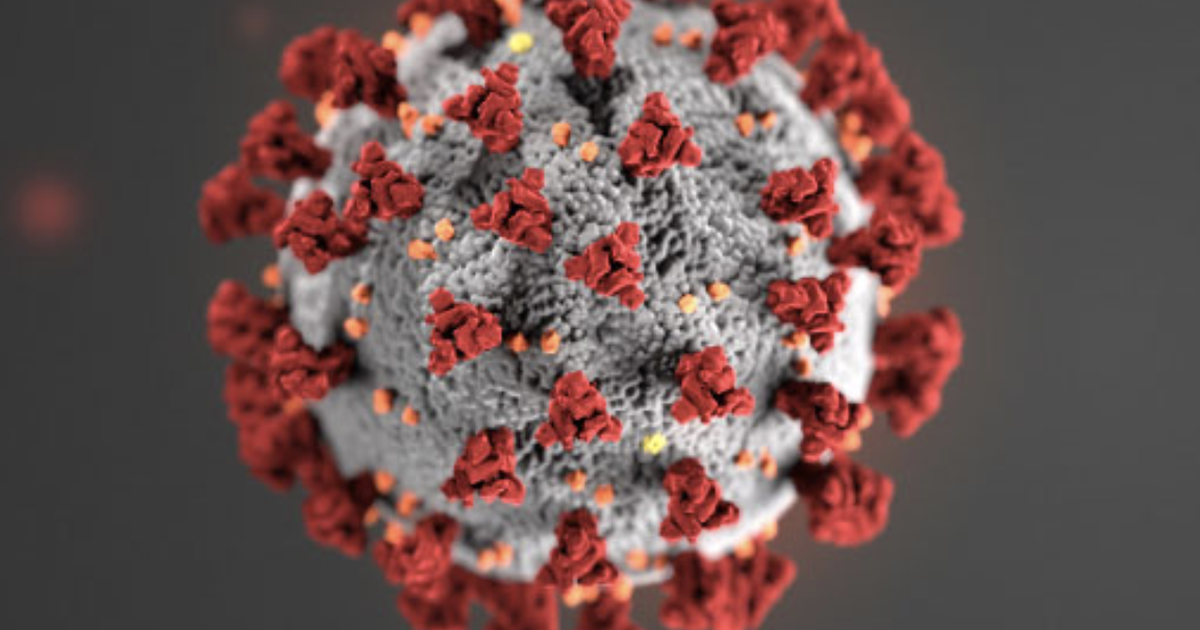 I-Coronavirus: Isuka Elulwaneni Iya Kubantu Ibe Ubhubhane