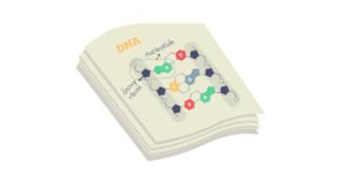 What is DNA?