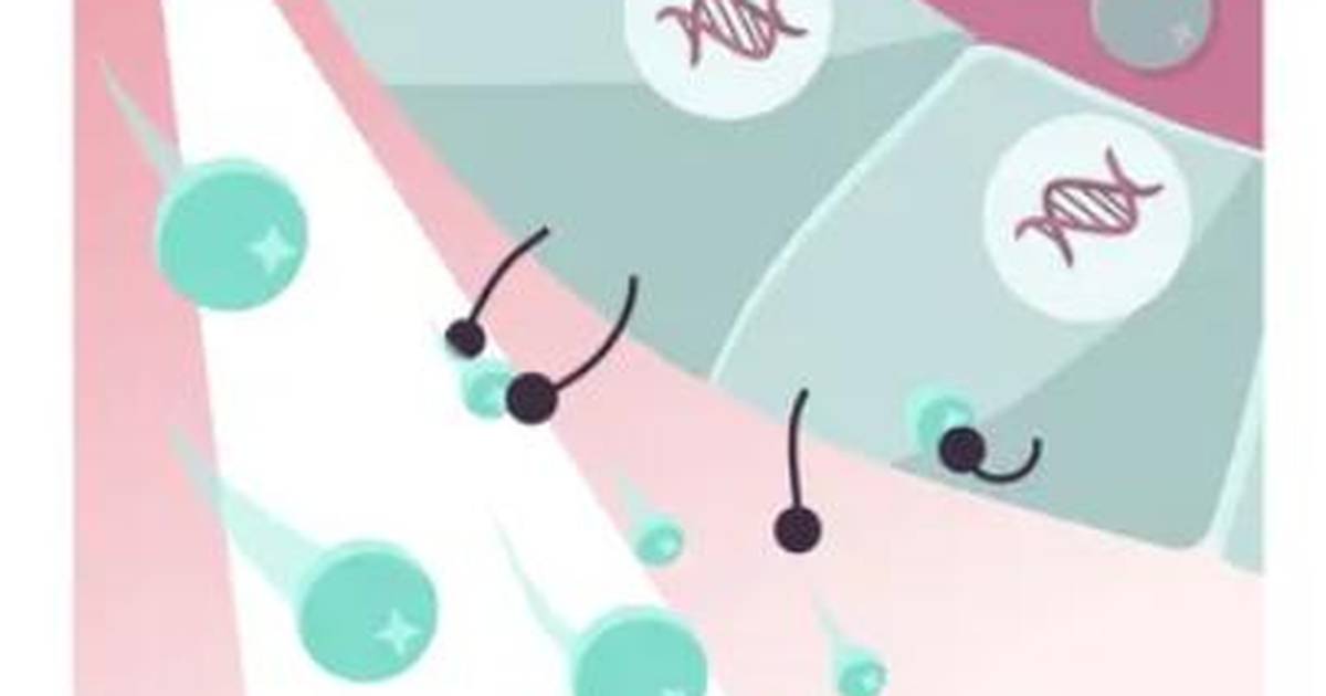 What is Cancer?
