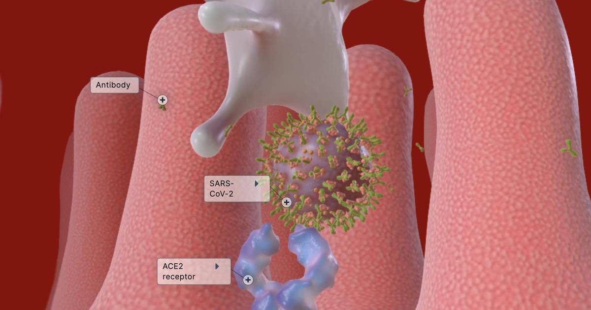 COVID Infection With and Without Vaccination