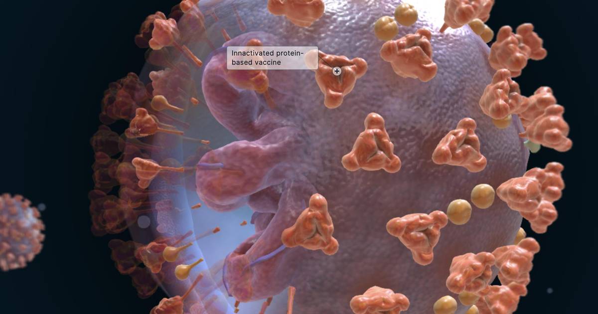 COVID-19 Vaccine Development
