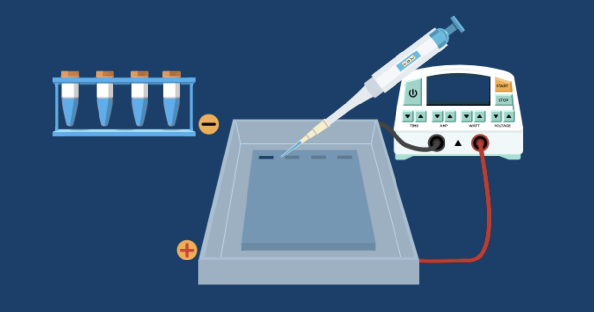 Foundational Concepts and Techniques in Biotechnology