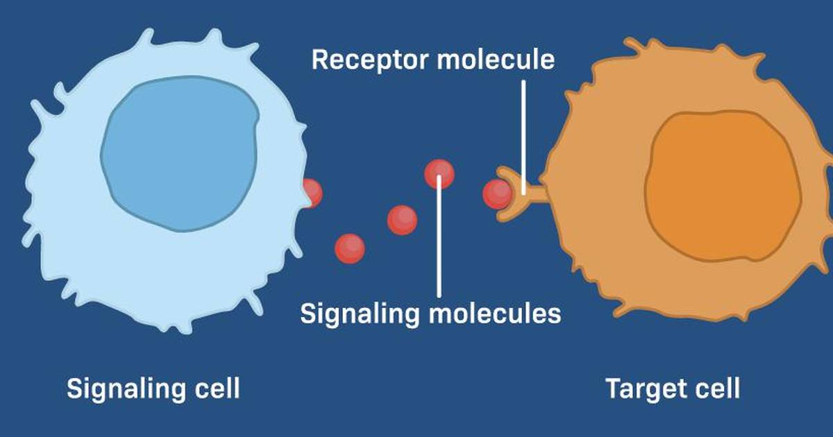 Introduction to Cell Signaling