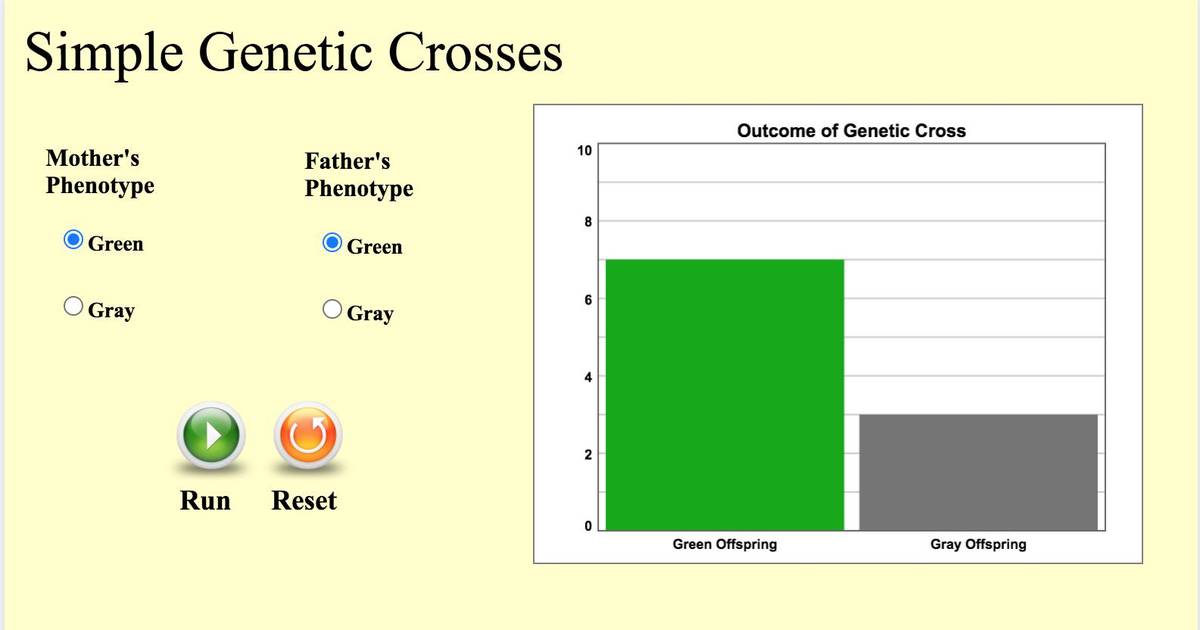 Simple Genetic Crosses