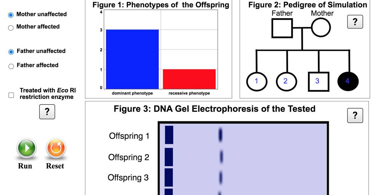 Genotyping with Electrophoresis