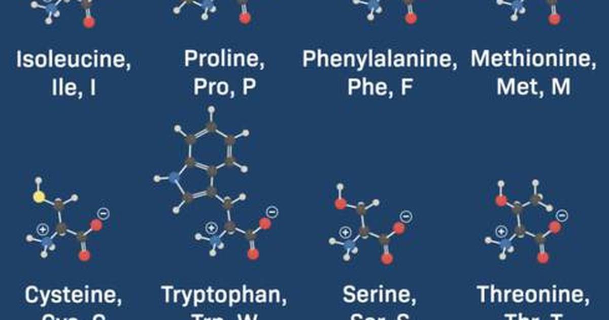The 20 Amino Acids at Cellular pH
