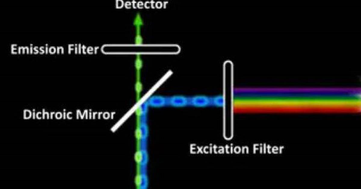 Excitation and Emission