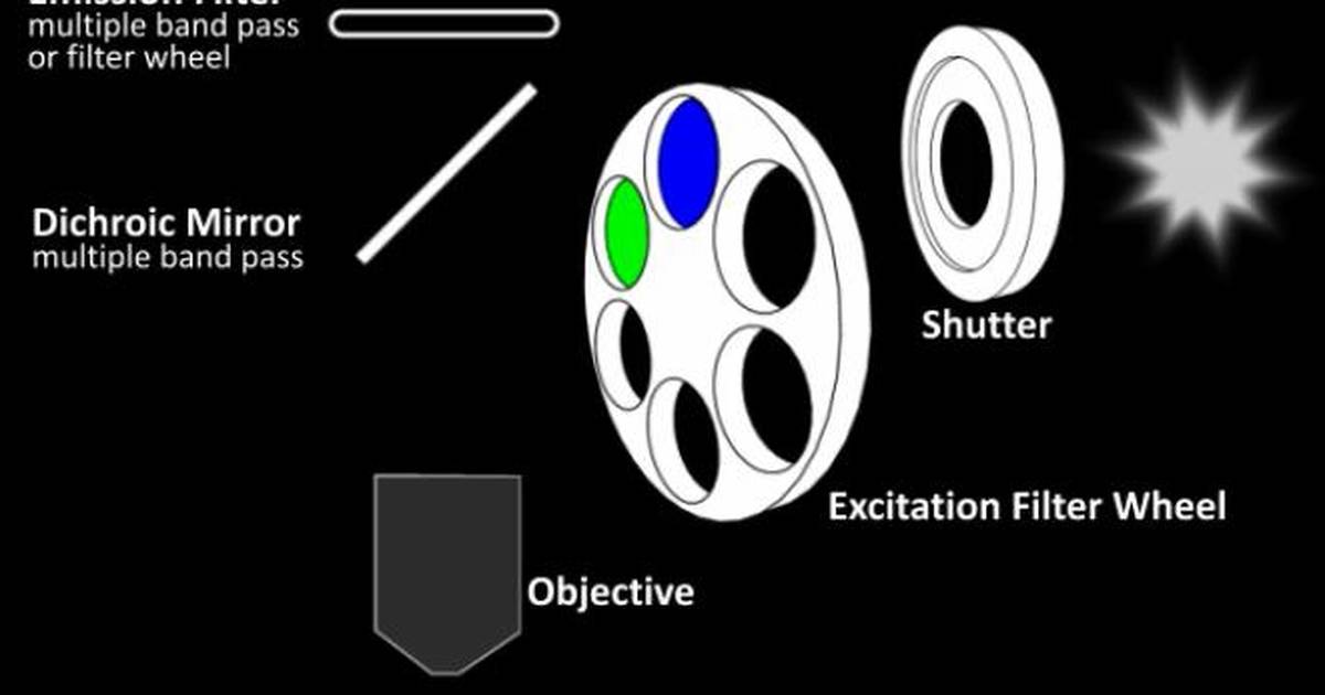 Filter Wheel