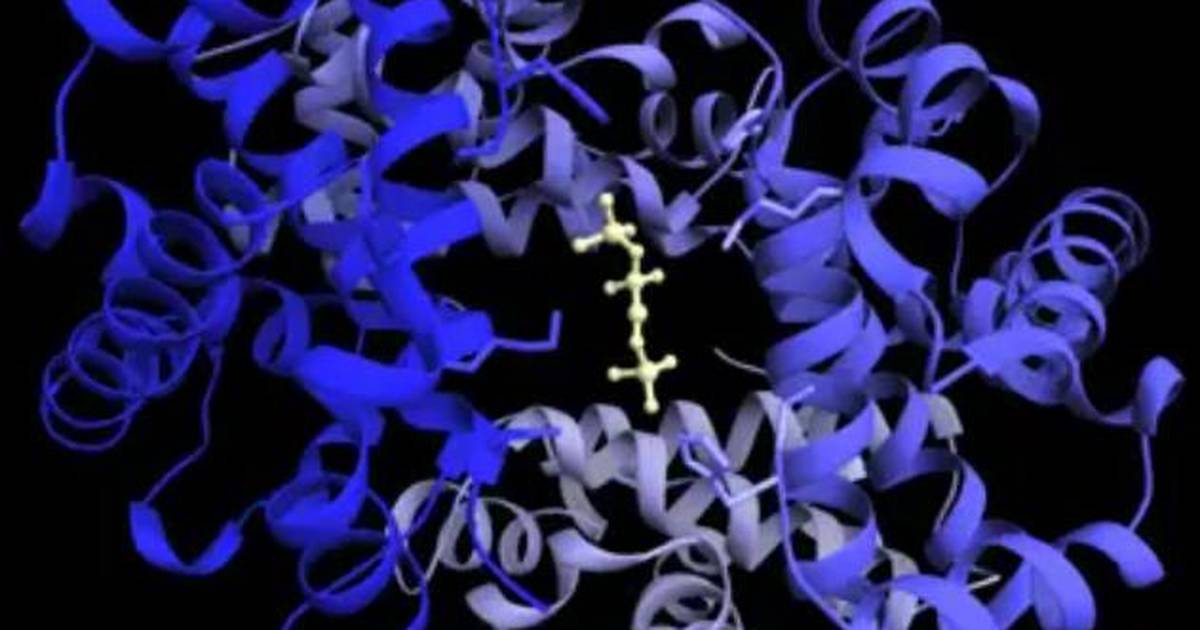 Hemoglobin: Allosteric Regulation by BPG