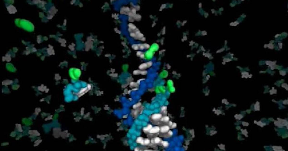 Prebiotic RNA Replication