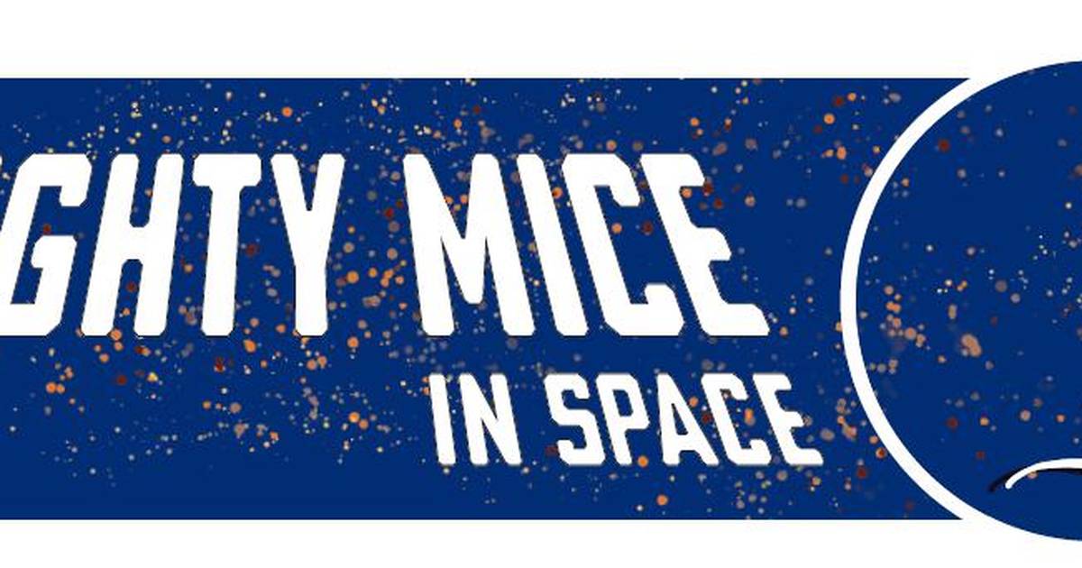 Mighty Mice in Space