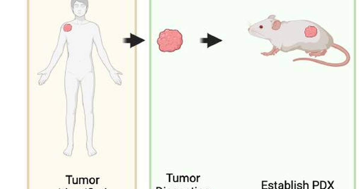 Cancer Genetics Research Experience: Conclusion