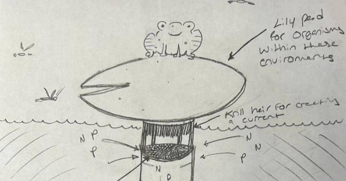 Eutrofilter - Biomimicry System That Traps Excess Waste