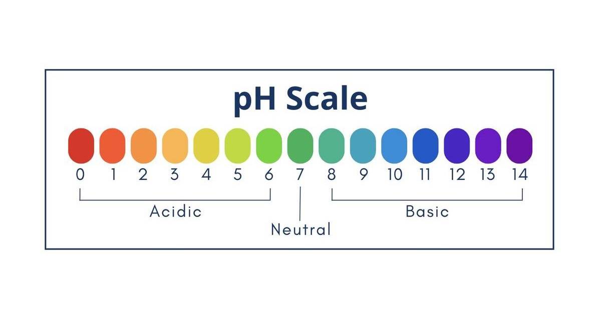 Defining pH, Acids, Bases, and Indicators