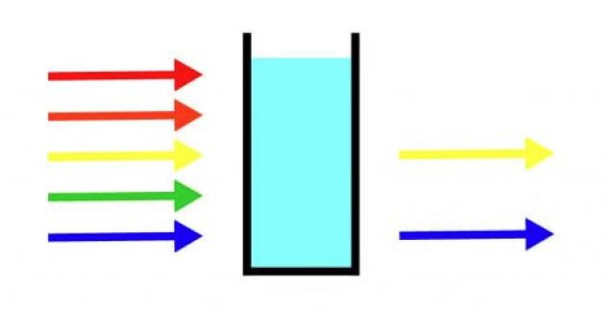 What Is a Spectrophotometer?