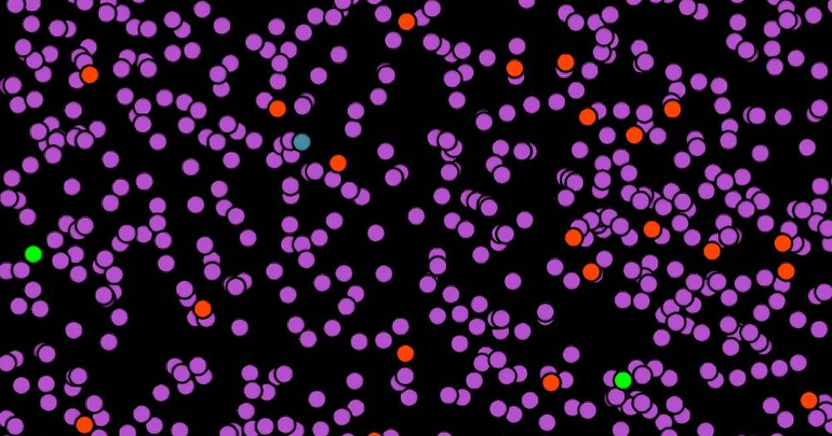 Isotopes and Atomic Mass