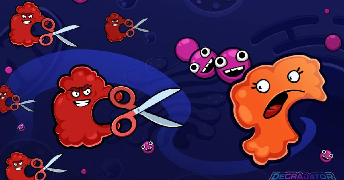 The Role of Ubiquitin and the Proteasome (Age 12-15 Years)