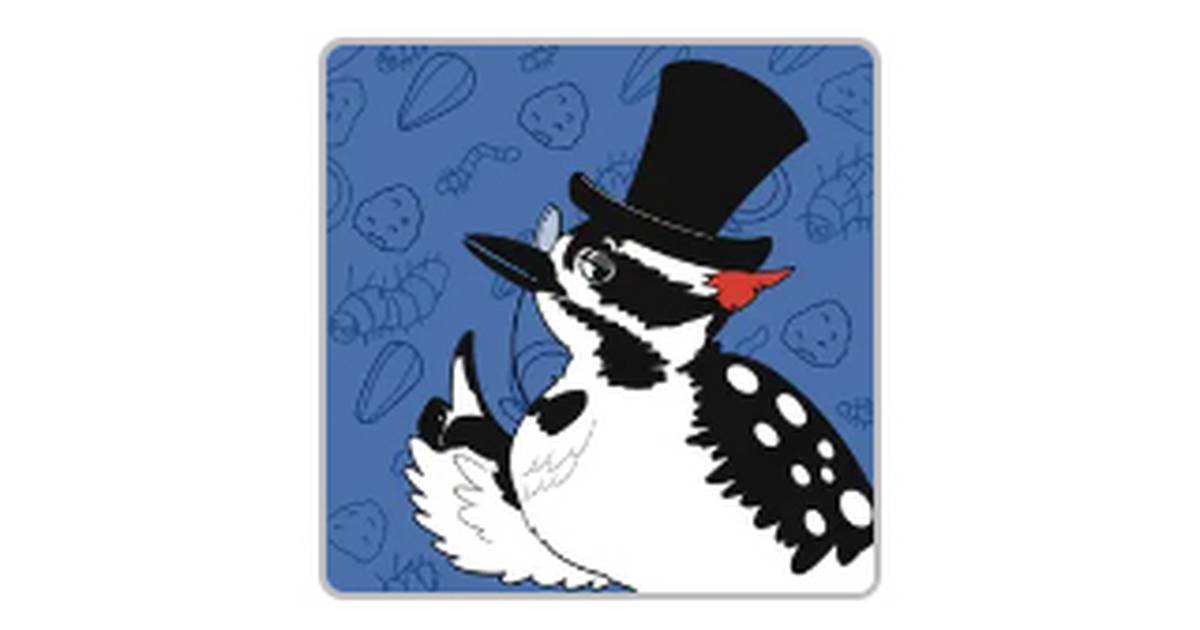 Chickadee Foraging Frenzy: A Natural Selection Memory Game