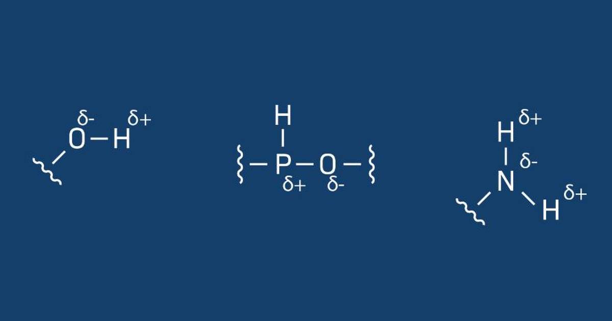 Common Polar and Nonpolar Bonds in Biology