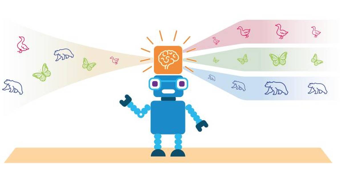 Machine Learning Unplugged
